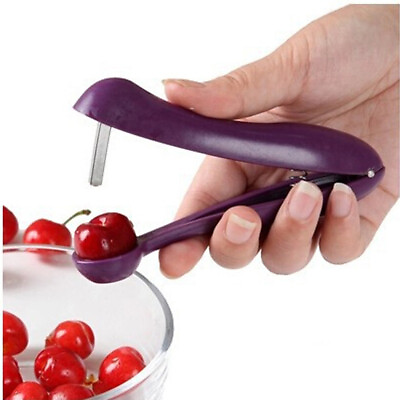 Cherry Corer Remover Tool Olive Core Seed Remove Tool Pitter #ad