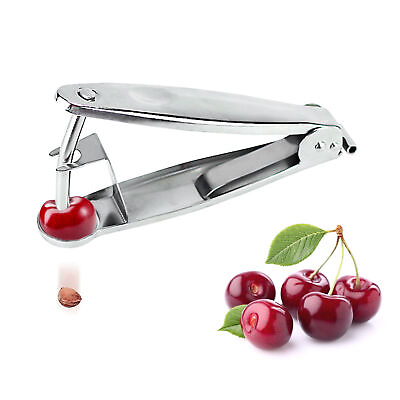 1* Handheld Cherry Pitter Fruit Red Date Jujube Core Remover Corer Kitchen Tool #ad